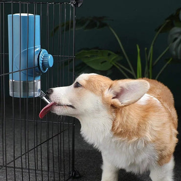 Pet Water Drinker Ball Feeder Hanging Water Drinker